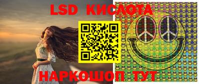 стаф Будённовск