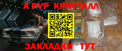 стаф Будённовск