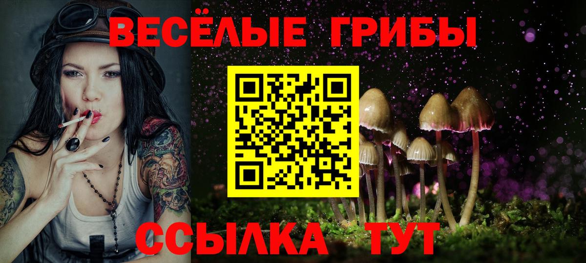 Галлюциногенные грибы прущие грибы  купить   Мытищи  Вход с VPN 